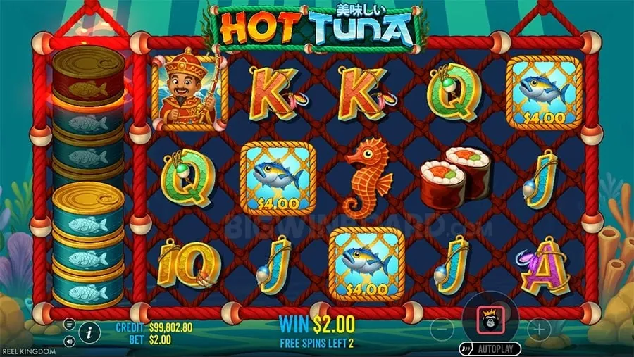 jili888 login Avoiding Common Betting Mistakes